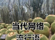 “泼天富贵”：网络时代流量与机遇