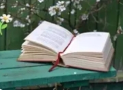 破茧成蝶：小学生口语交际能力的多维培养路径