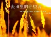 《麦田里的守望者》：在虚伪与纯真之间，守护少年最后的精神麦田