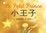 《小王子》：在成年人的荒漠里，守护那朵带刺的玫瑰