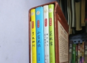 在文字迷宫中探寻智慧之光