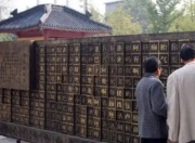 游子心中的情感灯塔