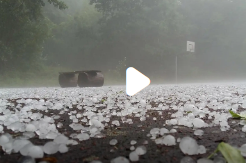 50825172344.png 50825172344.png